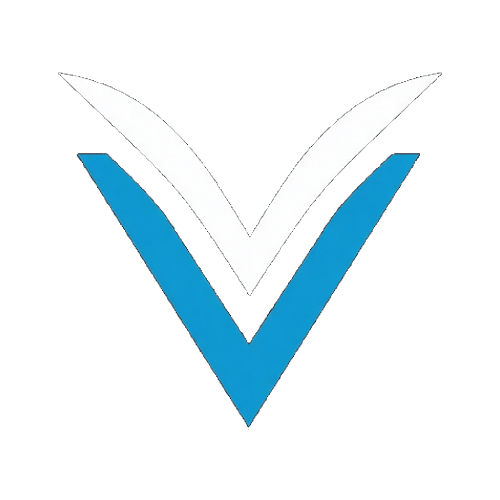 Voxel Servers
